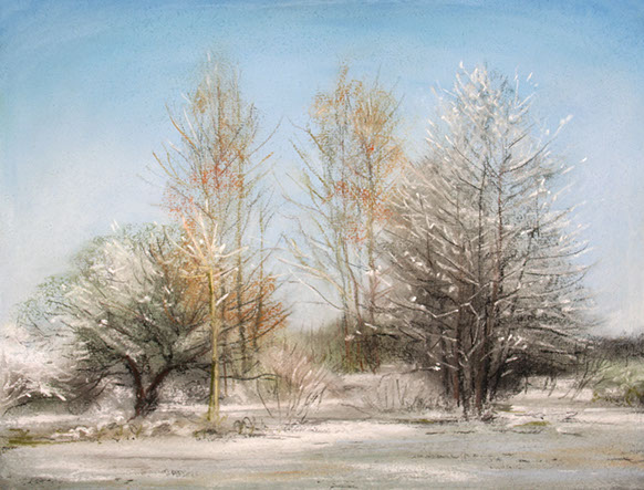 20090126_12608